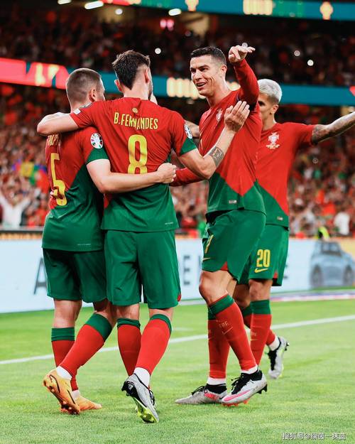 葡萄牙欧洲杯2023预选赛回放